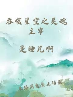吞噬星空之灵魂主宰