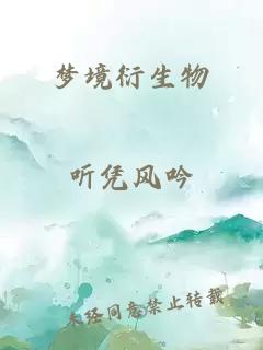 梦境衍生物