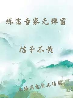 炼宝专家无弹窗